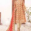 bin-saeed-embroidery-lawn-frock-fr-0345 (3)